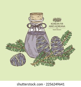 Background with korean fir: branch of korean fir with abies, koreana cone and bottle of korean fir essential oil. Cosmetic, perfumery and medical plant