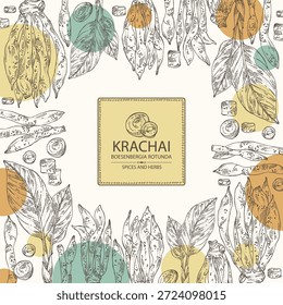 Hintergrund mit Krachai: Krachai Wurzel und Ableger, Chinesischer Ingwer. Boesenbergia rotunda. Handgezeichnete Vektorgrafik.