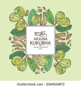 Background with kukubha: kukubha fruits,  arjuna plant and leaves. Terminalia arjuna. Cosmetic and medical plant. Vector hand drawn illustration