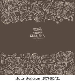 Background with kukubha: kukubha fruits,  arjuna plant and leaves. Terminalia arjuna. Cosmetic and medical plant. Vector hand drawn illustration