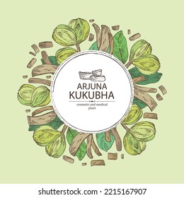 Background with kukubha: kukubha fruits,  arjuna plant and leaves. Terminalia arjuna. Cosmetic and medical plant. Vector hand drawn illustration