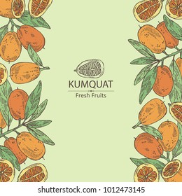 Background with kumquat: branch with kumquat. Vector hand drawn illustration.