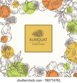 Background with kumquat: branch with kumquat. Vector hand drawn illustration.