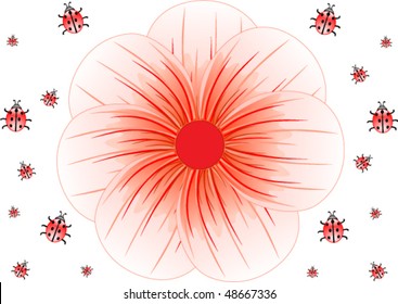 Background of ladybirds and big red flower, vector illustration