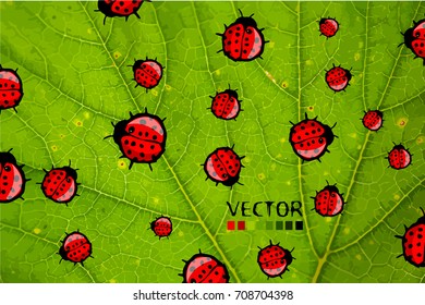 Background with ladybirds. Vector
