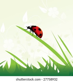 background with ladybug