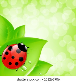Background With Ladybug On Leaf, Vector Illustration