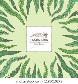 Background with laminaria: laminaria seaweed, sea kale. Brown algae. Edible seaweed. Vector hand drawn illustration.