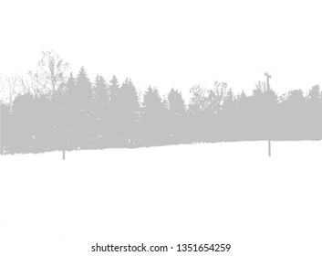 Background landscape. Tree silhouette. Vector