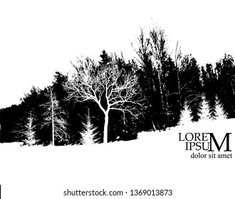 Background landscape. Tree silhouette. Vector