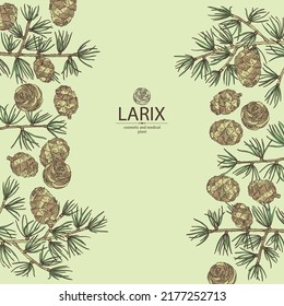 Hintergrund mit Lumix: Lärchenbaum, Larix-Ast und Lärchenkegel. Kosmetika und medizinische Anlagen. Vektorgrafik, handgezeichnet.