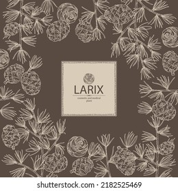Background with larix: larch tree, larix branch and larch cone. Cosmetics and medical plant. Vector hand drawn illustration.