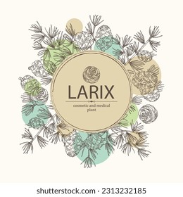 Background with larix: larch tree, larix branch and larch cone. Cosmetics and medical plant. Vector hand drawn illustration.