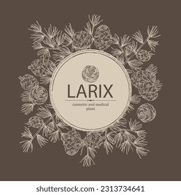 Background with larix: larch tree, larix branch and larch cone. Cosmetics and medical plant. Vector hand drawn illustration.