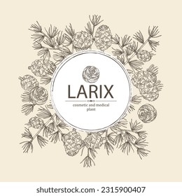 Background with larix: larch tree, larix branch and larch cone. Cosmetics and medical plant. Vector hand drawn illustration.