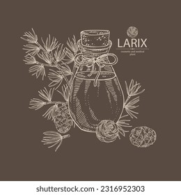Fondo con larix: árbol de larvas, rama, cono de larca y botella de aceite esencial de larix. Planta cosmética, perfumería y médica