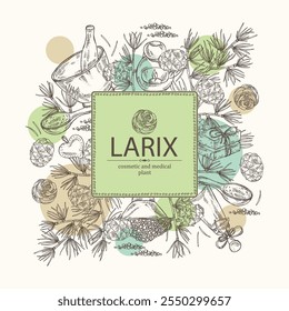 Background with larix: larch tree, larix branch and larch cone. Oil, soap and bath salt . Cosmetics and medical plant. Vector hand drawn illustration