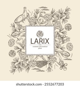 Hintergrund mit Larix: Lärche, Larixzweig und Lärchenkegel. Öl, Seife und Badesalz . Kosmetik und Medizin. Handgezeichnete Vektorgrafik