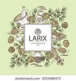 Background with larix: larch tree, larix branch and larch cone. Oil, soap and bath salt . Cosmetics and medical plant. Vector hand drawn illustration