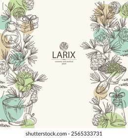Background with larix: larch tree, larix branch and larch cone. Oil, soap and bath salt . Cosmetics and medical plant. Vector hand drawn illustration