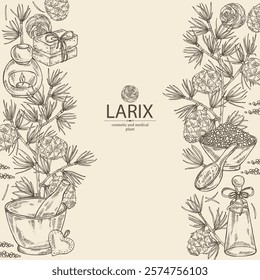 Background with larix: larch tree, larix branch and larch cone. Oil, soap and bath salt . Cosmetics and medical plant. Vector hand drawn illustration