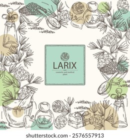 Background with larix: larch tree, larix branch and larch cone. Oil, soap and bath salt . Cosmetics and medical plant. Vector hand drawn illustration