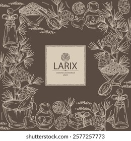 Background with larix: larch tree, larix branch and larch cone. Oil, soap and bath salt . Cosmetics and medical plant. Vector hand drawn illustration