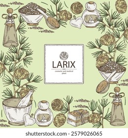 Background with larix: larch tree, larix branch and larch cone. Oil, soap and bath salt . Cosmetics and medical plant. Vector hand drawn illustration