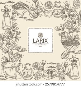 Background with larix: larch tree, larix branch and larch cone. Oil, soap and bath salt . Cosmetics and medical plant. Vector hand drawn illustration