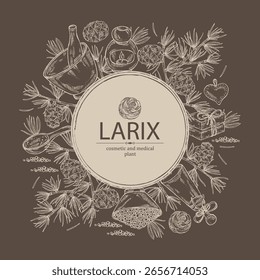 Background with larix: larch tree, larix branch and larch cone. Oil, soap and bath salt . Cosmetics and medical plant. Vector hand drawn illustration