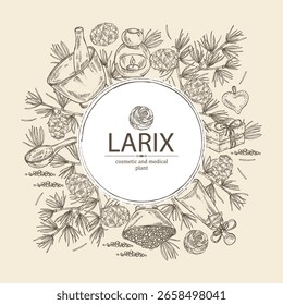 Background with larix: larch tree, larix branch and larch cone. Oil, soap and bath salt . Cosmetics and medical plant. Vector hand drawn illustration