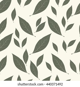 Background laurel leaves. Condiment food pattern