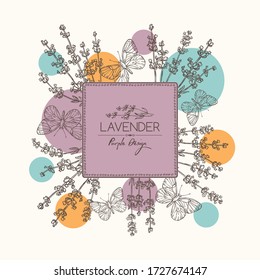 Background with lavender and butterfly: twig, lavender flowers and leaves. Perfumery, cosmetics and medical plant. Vector hand drawn illustration. 