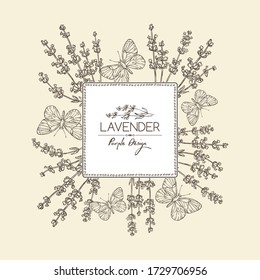 Background with lavender and butterfly: twig, lavender flowers and leaves. Perfumery, cosmetics and medical plant. Vector hand drawn illustration. 