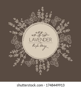 Background with lavender and butterfly: twig, lavender flowers and leaves. Perfumery, cosmetics and medical plant. Vector hand drawn illustration. 