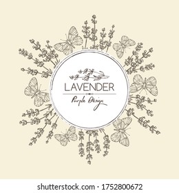 Background with lavender and butterfly: twig, lavender flowers and leaves. Perfumery, cosmetics and medical plant. Vector hand drawn illustration. 