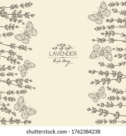 Background with lavender and butterfly: twig, lavender flowers and leaves. Perfumery, cosmetics and medical plant. Vector hand drawn illustration. 