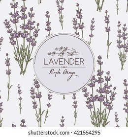 Background with lavender. hand drawn
