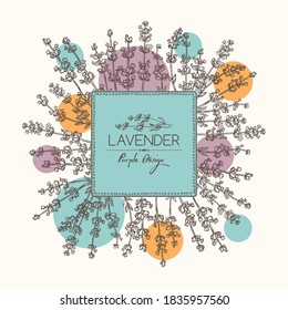 Background with lavender: twig, lavender flowers and leaves. Perfumery, cosmetics and medical plant. Vector hand drawn illustration