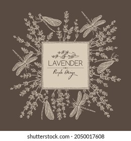 Background with lavender: twig, lavender flowers, leaves and dragonfly. Perfumery, cosmetics and medical plant. Vector hand drawn illustration