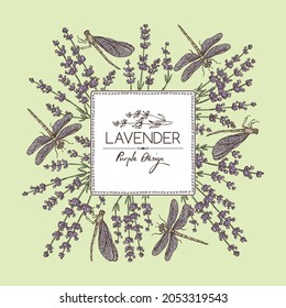 Background with lavender: twig, lavender flowers, leaves and dragonfly. Perfumery, cosmetics and medical plant. Vector hand drawn illustration