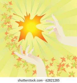 Background. A leaf fall. Beams. Female hands catch a maple leaf.