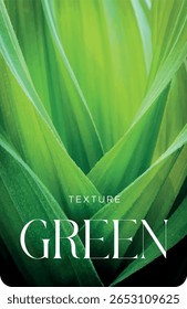 Plano de fundo com textura de folha em detalhes. Botânica, verde, natural, fundo, isolado, vetor.