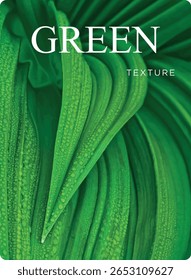 Plano de fundo com textura de folha em detalhes. Botânica, verde, natural, fundo, isolado, vetor.