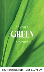 Plano de fundo com textura de folha em detalhes. Botânica, verde, natural, fundo, isolado, vetor.