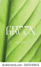 Plano de fundo com textura de folha em detalhes. Design, Arte, Botânica, verde, natural, fundo, isolado, vetor.