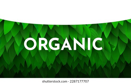 Background with leaves. Concept of ecology. Vector illustration