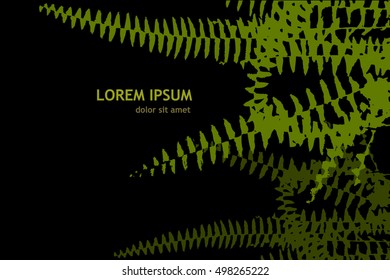 Background with leaves of fern. Vector