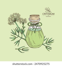 Background with сrithmum: сrithmum leaves, flowers and сrithmum plant and bottle of сrithmum essential oil. Sea ​​fennel. Cosmetic, perfumery and medical plant