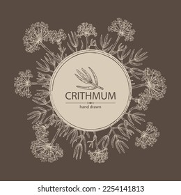 Background with сrithmum: сrithmum leaves, flowers and сrithmum plant. Sea ​​fennel. Herbs and spices. Cosmetic, perfumery and medical plant. Vector hand drawn illustration.